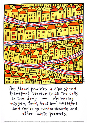 The blood provides a high speed transport service to all the cells in the body ....